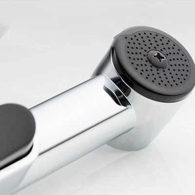 Poliertes Chrom Bad Handbrause Dusche Bidet Brause mit Schraube Set - Bild 1 von 4