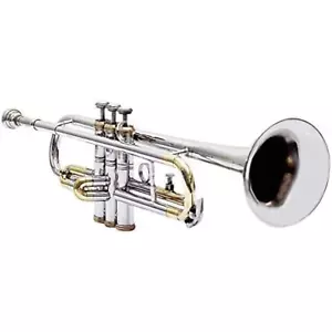 Trumpet For Beginner or Advanced All Colours Brass Woodwing Musical Instrument - Picture 1 of 7