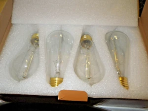 4 Pack New Hudson Bulb Co. Warm Clear Vintage Glow Dim-able Light Edison Bulbs - Picture 1 of 10