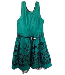Floral Knitworks grün Kinder Urlaub Weihnachten formelles Kleid Gr. 12 - Bild 1 von 10