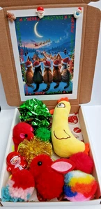 WEIHNACHTEN KATZE GESCHENKBOX MIT ZEHN LUSTIGEN KÄTZCHENSPIELZEUGEN FESTLICH KATZE KATZENMINZE BALL SPIELSPIELZEUG - Bild 1 von 2