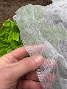 Biodegradable Garden Netting Eco Ultrafine Veggie Mesh Packs - Picture 1 of 3