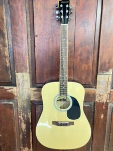 Savannah SGD-12 Dreadnought Size Steel String Acoustic Guitar - Picture 1 of 18