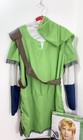 Legend of Zelda Link Adult Med Halloween Cosplay Costume