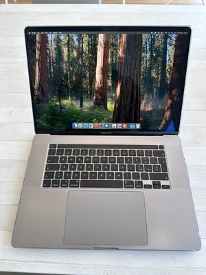 Apple Mac Book Pro 16" 2019 i9 1T 16GB - Immagine 1 di 4