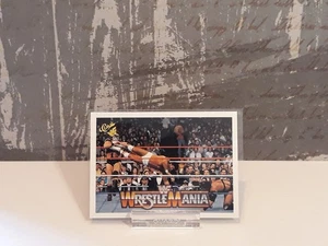 Demolition / Rick Martel - WWF Classic Games 1990 #45 / Near Mint - Bild 1 von 2