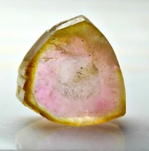 Rebanada pulida de turmalina sandía de 5,50 quilates Badakhshan Afganistán  - Imagen 1 de 10