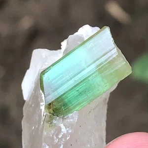 Rara muestra de cristal de turmalina natural bicolor (Elbaite) en cuarzo, 18,72 gramos - Imagen 1 de 14