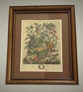 Framed Floral MAY Print Robert Furber Gardiner 12 Months of Flowers (10.5x12.5”) - Picture 1 of 17