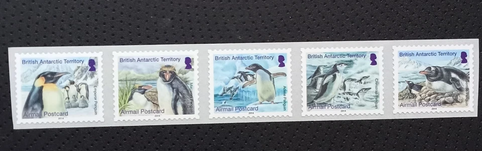 conjunto completo de sellos del territorio antártico británico. sin montar como nuevo. Foto 1 de 1