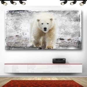 Weiße Bär Tiere Abstraktes Wandbilder Bilder auf Leinwand Kunstdruck XXL 2701A - Bild 1 von 8
