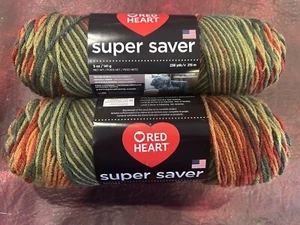 2 Skeins of Red Heart Super Saver Yarn Color: FALL Matching Dye 4410 - 236 yds - Picture 1 of 4
