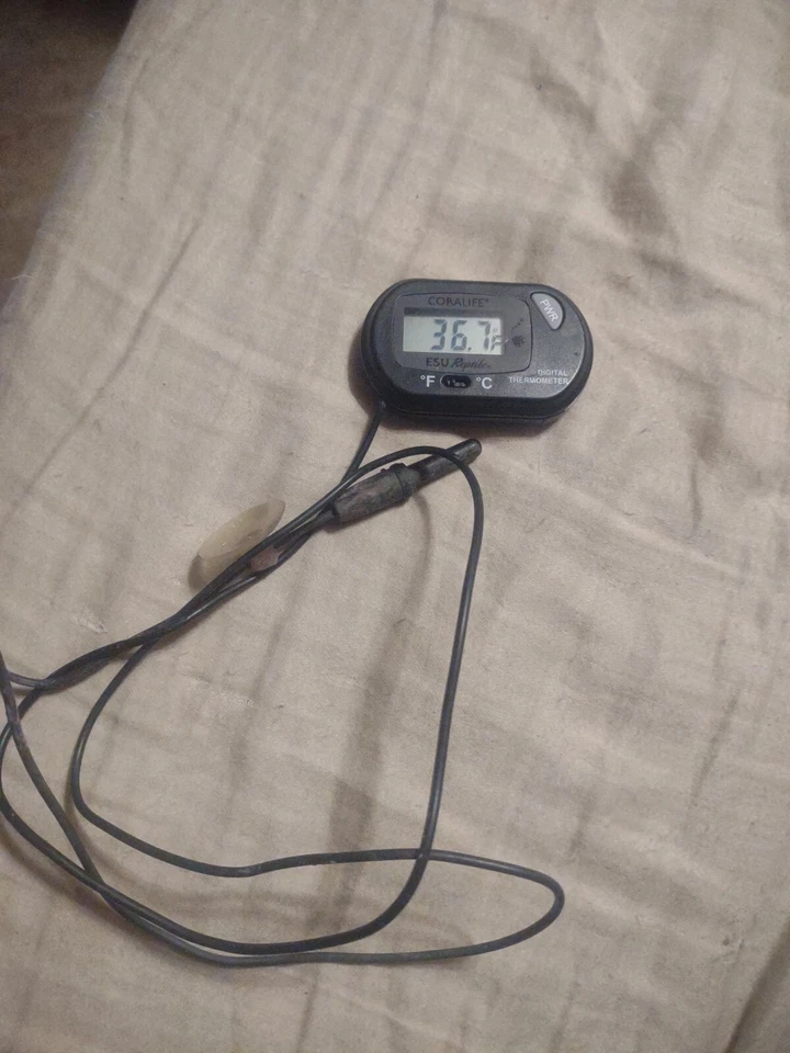 珊瑚数字方形加热器水电池操作 — 第 1/1 张图片