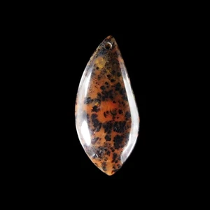 Petrified Wood Opal BEAD 45x20x7 mm HB306100 - Picture 1 of 4