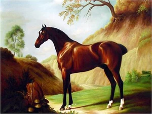 A Dark Bay Thoroughbred Horse Tile Mural Kitchen Wall Backsplash Marble Ceramic - Picture 1 of 19