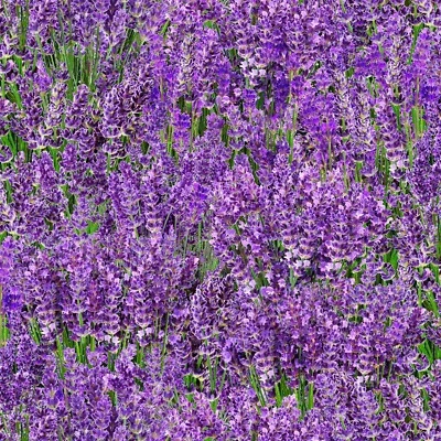 Elizabeths Studio – Landscape Medley – Field – Lavender - 572E-LAV, Fabric BTY - Image 1 of 2