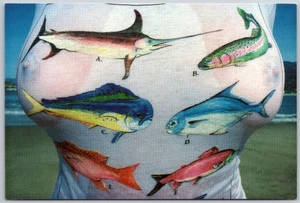 Kirk Cuttrell Somethings Fishy wet shirt Girl Postcard Risque 90's 80's Pinup - Picture 1 of 2