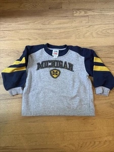 Vintage 90s Kids Michigan Wolverines Football  Sweatshirt Embroidery Size 7 Gray - Picture 1 of 8