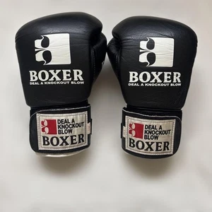 Isami Boxer Boxing Gloves Black - Picture 1 of 9