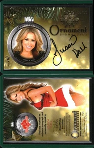 Calentador de banco 2021 2014 adorno navideño firmas automático Jessica Hall/10 - Imagen 1 de 1