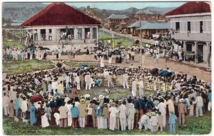 Philippines US old picture postcard PPC Cock Fighting - Foto 1 di 2