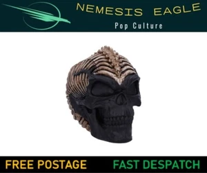 SPINENKOPF SCHÄDEL ORNAMENT FIGUR 18,5 cm JAMES RYMAN NEMESIS JETZT NEU IM BOX - Bild 1 von 5