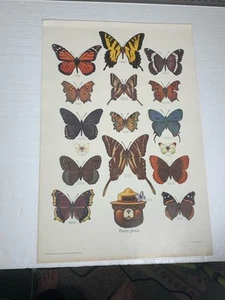 Póster de colección Smokey The Bear Butterfly Servicio Forestal Prevención de Incendios 30x20 pulgadas - Imagen 1 de 7