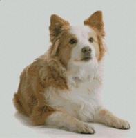 Salsiccia Cane Bassotto Cucciolo 25.5cm x 34cm 10/" x 13.25/" d2413