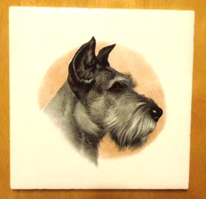 Schnauzer Dog Porcelain Tile Plate  6" X 6"  Richards Group - Made in England - Picture 1 of 8