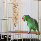 Bird Chew with Bells for Parrots & Macaws