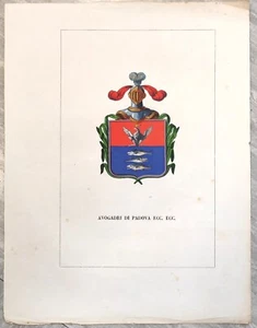 1841 ARALDICA STEMMA FAMIGLIA AVOGADRI PADOVA - Imagen 1 de 1
