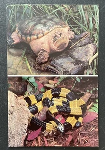 POWELL OHIO Columbus Zoo Postcard Turtle Snake - Picture 1 of 2