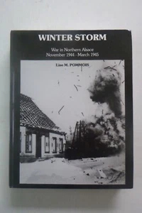 Winter Storm by Lise M. Pommois (hardcover, 1996) - Picture 1 of 8