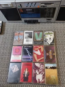 Vintage Rock Cassette Tape Lot 12 Classic Album Hard Rock Metal 80s 90s Tested - Picture 1 of 10