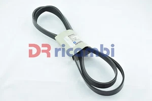 CINGHIA POLY V 6 GOLE OPEL ASTRA VECTRA CALIBRA FRONTERA OMEGA INSIGNIA 55562866 - Picture 1 of 2