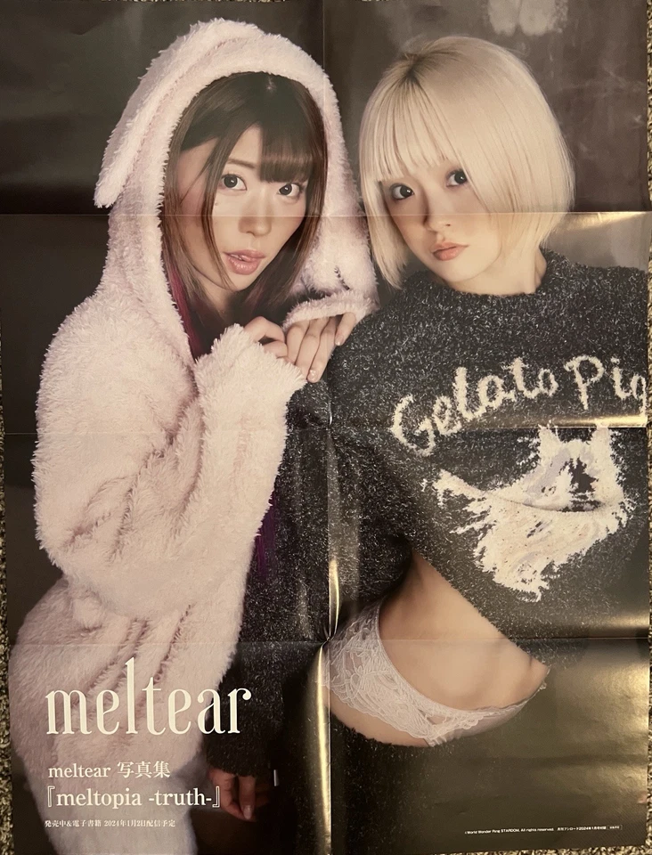 Pôster World Wonder Ring Stardom 'Cosmic Angels Tam Nakano & Natsupoi - Imagem 1 de 1