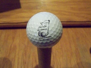 2018 CHIP IN FOR THE CLEMENTS LOGO GOLF BALL VICE - Picture 1 of 1
