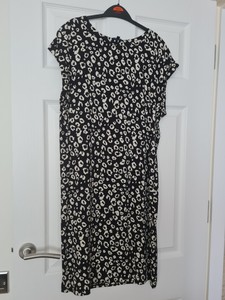 Peacocks Animal Print Dresses for Women 