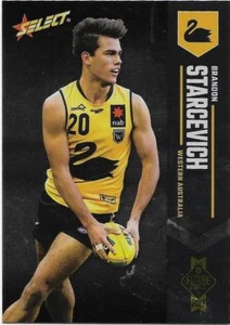 2017 Select Future Force Base Card (99) Brandon STARCEVICH Western Australia - Picture 1 of 1