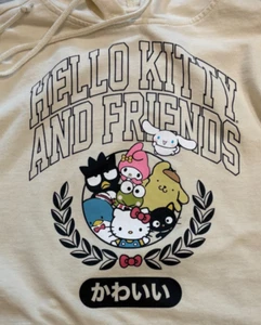 Hello Kitty and Friends by Sanrio Tokyo Graphic Pullover Hoodie Sweatshirt Small - Picture 1 of 10