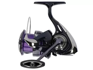 Mulinello da spinning nuovo 2025 Prorex 24 Prorex X LT accendino e più forte - Foto 1 di 5