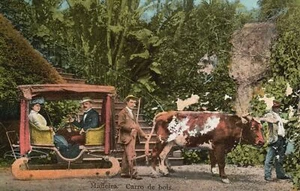Vintage Postcard Madeira Carro De Bois Madeira, Portugal - Picture 1 of 2