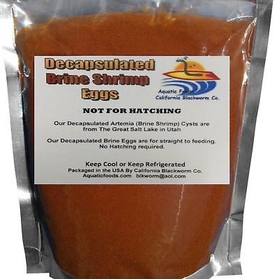 Decapsulated Brine Shrimp Eggs, Corals, Fry, Babies (No Shell - Non Hatching) • 9.99€