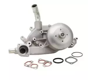 Engine Water Pump-VIN: U Dayco DP998 - Bild 1 von 2