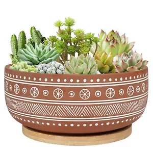 8 Inch Terracotta Succulent Planter Pot With Drainage Hole And Bamboo Tray Round - Picture 1 of 7
