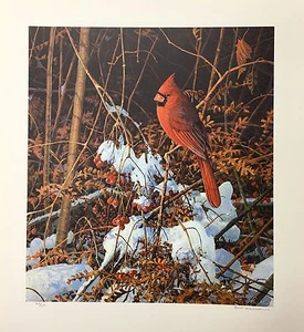 Scott Zoellick "Evening Glow" Birds SN LE Print 8X12 - Bild 1 von 2