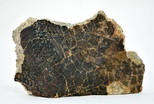 23,86 g Eucrite pieza final sin brechas I HED Achondrite I NWA 12932 METEORITO superior - Imagen 1 de 6