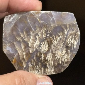 28.6g 51x42x7mm Large Flower Picture Like Purple Plume Agate Cabochon Stone Slab - Picture 1 of 12