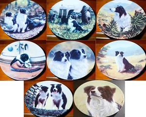 Plato de raza perro cachorro Royal Worcester Danbury como nuevo colección The Border Collie - Imagen 1 de 26