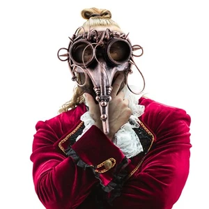 Steampunk Plague Doctor Mask - Picture 1 of 3